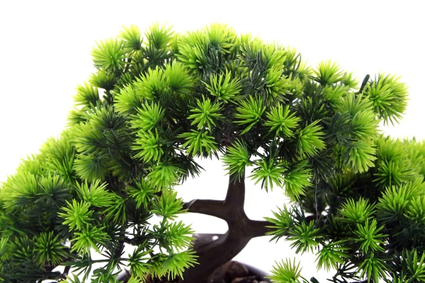 Sztuczny Bonsai Larch Modrzew 26 w czarnej doniczce ceramicznej