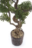 Sztuczne drzewko Bonsai Modrzew Larch 125 cm