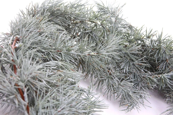 Sztuczny Cedr oszroniony długa girlanda 185 cm
