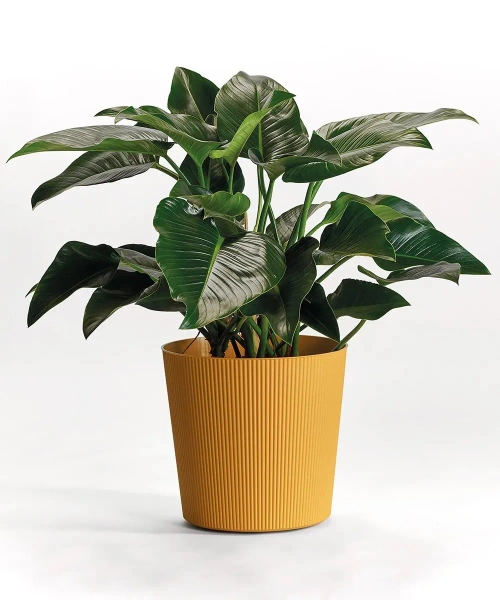 Fyre 40 donica ryflowana ocean na kółkach