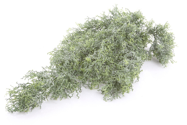 Sztuczna Russelia pnącze 75 cm