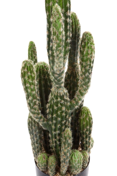 Sztuczny Kaktus Column 76 cm