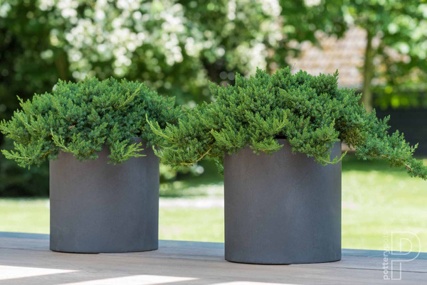 Max S 30/30 doniczka cylindryczna szara