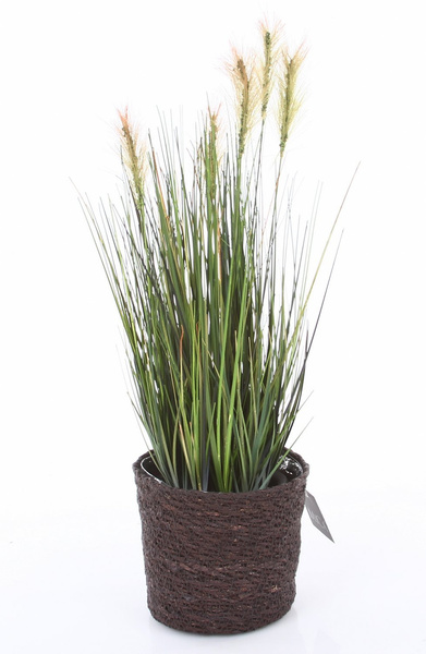 ATLANTIC 12/12 naturalna osłonka z trawy morskiej ciemnobrązowa