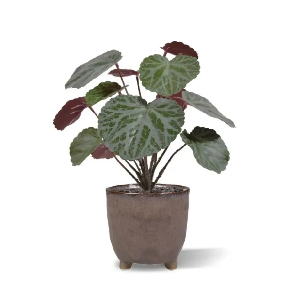 Sztuczna Saxifraga zielono-czerwona 25 cm