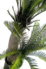 Sztuczny Cycas 145 cm 42 liście UV