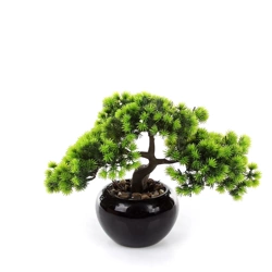 Sztuczny Bonsai Larch Modrzew 26 w czarnej doniczce ceramicznej
