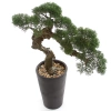 Sztuczny Bonsai Cedr 80 cm UV