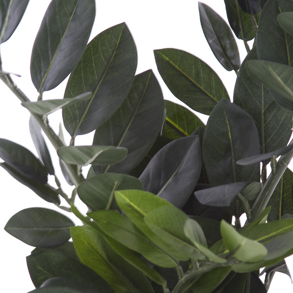 Sztuczna Zamia Zamioculcas Smaragd 66 cm 9 pędów