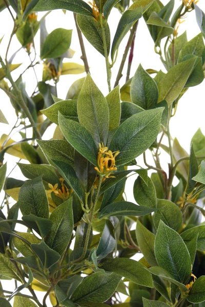 Sztuczne drzewko laurowe Laurus Nobilis 195 cm