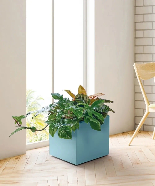 Kebe Quadro 40x40/40 donica na kółkach brązowa