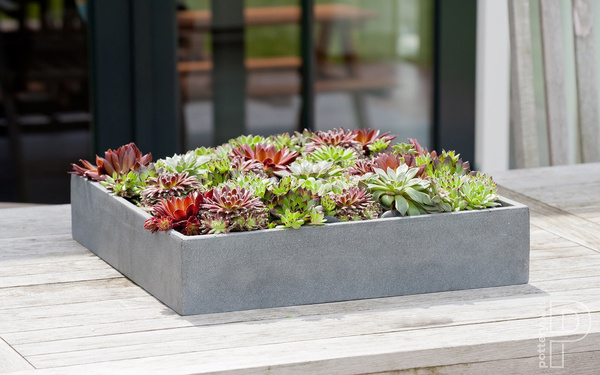 Jack M 50x50/10 szara donica kwadratowa płaska