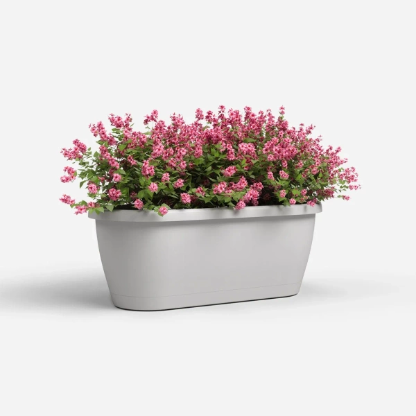 Algarve Wall 38x14/14 szara doniczka na ścianę wisząca