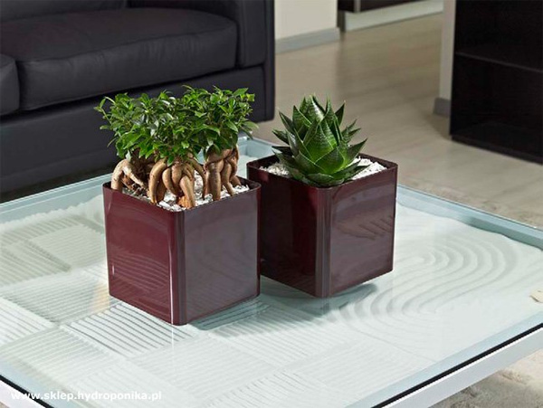 CUBIK 11x11/11 doniczka kwadratowa niska ciemny burgund