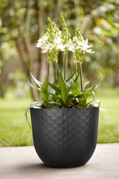 Fuente 29/24 doniczka czarny wytłaczana onyx black