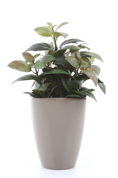 QUARTA ORCHID 13/17 ceramiczna doniczka do storczyków taupe