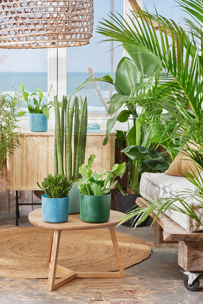 Ocean Round 14 osłonka cylinder zielony pacyfik