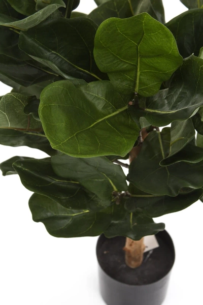 Sztuczny Fikus Dębolistny Lyrata 75 cm deluxe