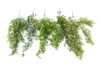 Sztuczny Eukaliptus wiszący pnącze 80 cm