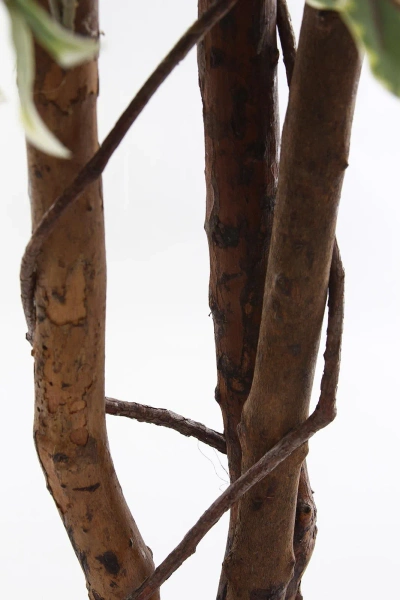 Sztuczny fikus benjamina 165 cm zielono-biały