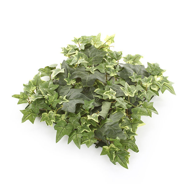 Sztuczna zielona ściana mata Bluszcz 30x30 jasnozielony