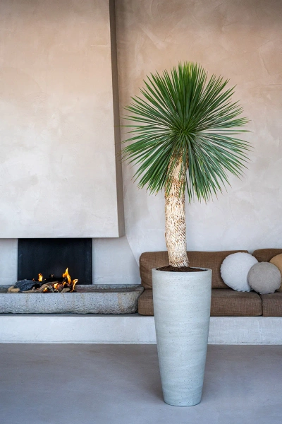 Dax XL 47/99,5 wysoka donicza beżowa beige washed