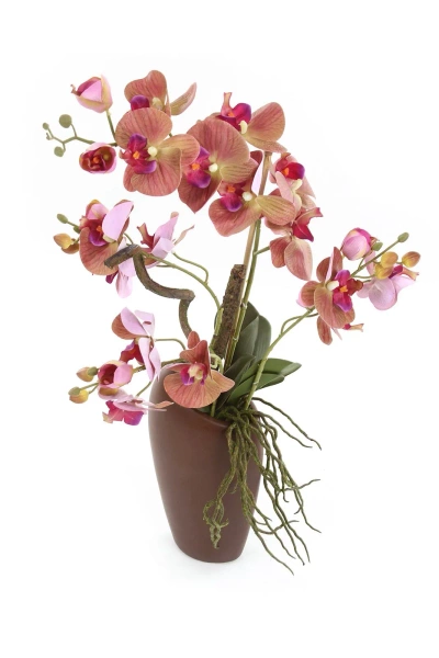 Sztuczny Phalenopsis liliowy 70 cm w brązowej donicy