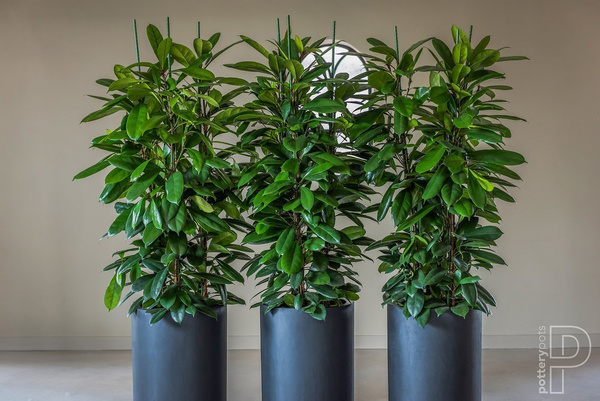 Klax M 30/60 czarna donica kamienna cylinder