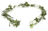 Sztuczny bluszcz hedera girlanda 180 cm 168 liści