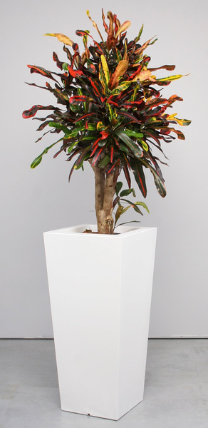 KIAM GLOSS 30x30/67 donica kwadratowa wysoka biała półpołysk