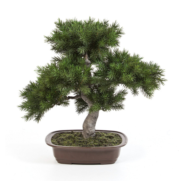 Sztuczne drzewko Bonsai Sosna Pinia 48 cm w brązowej ceramicznej doniczce