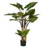 Sztuczna Alokazja Alocasia 160 cm drzewko