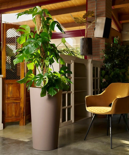 Tuit Raw 33/61 wysoka donica z wkładem taupe