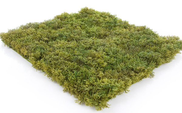 Sztuczna zielona ściana mata mech Islandzki 50x50 trudnopalna FR UV