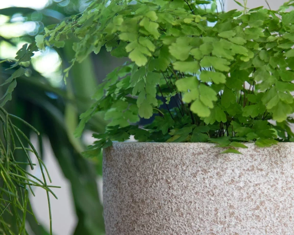 Hestia 20/18 doniczka ceramiczna kolorowa antracyt