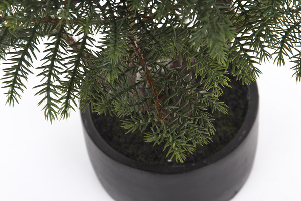Sztuczny bonsai jodła 73 cm