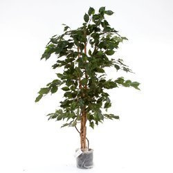 Sztuczne drzewko Fikus Exotica 150 cm 880 liści