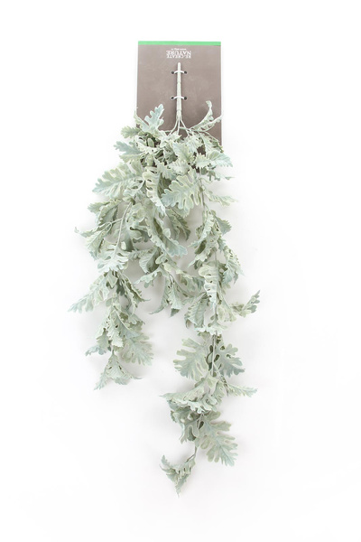 Sztuczny Starzec Cineraria pnącze 75 cm