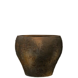 Claire S 54/44 naturalna osłonka kamienna brązowa oyster