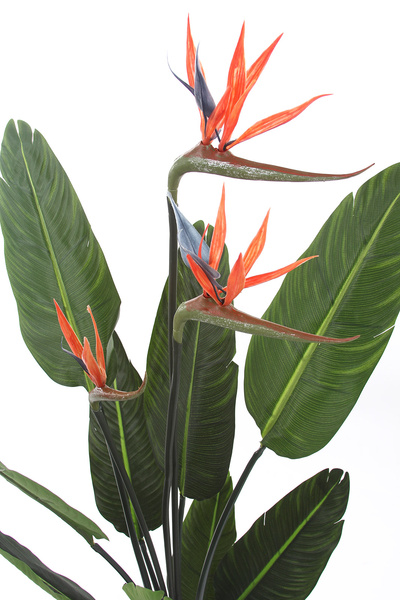 Sztuczna strelicja z 3 kwiatami 120 cm