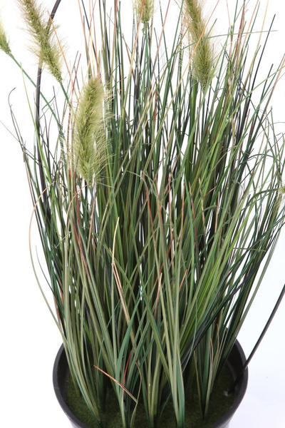 Sztuczna trawa z kłosami Foxtail 120 cm zielona