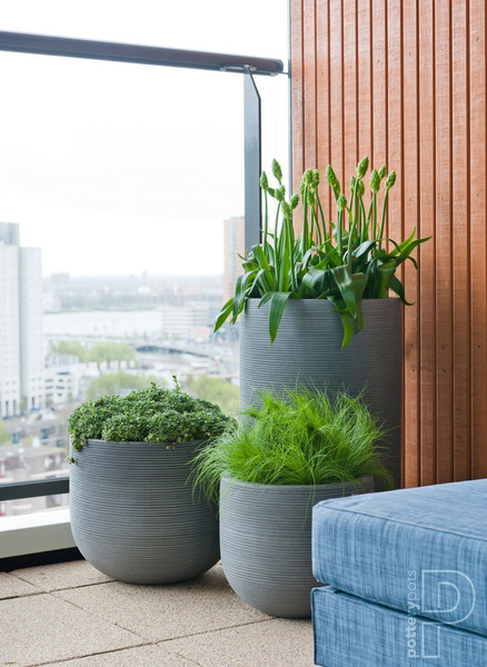 Cody M 35/31 jasnoszara donica kamienna w prążki