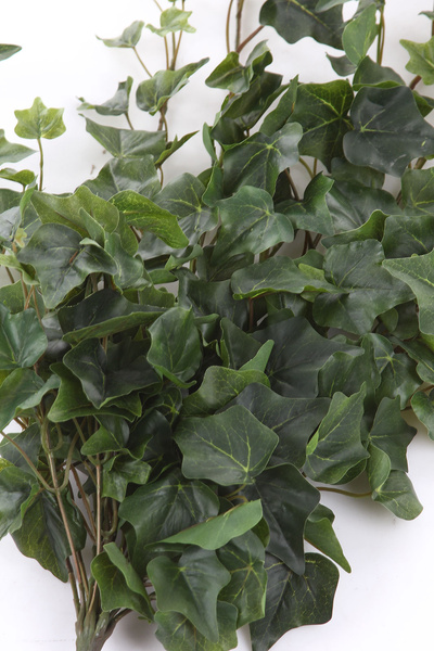 Sztuczny Bluszcz English wiszący pnącze 100 cm zielony