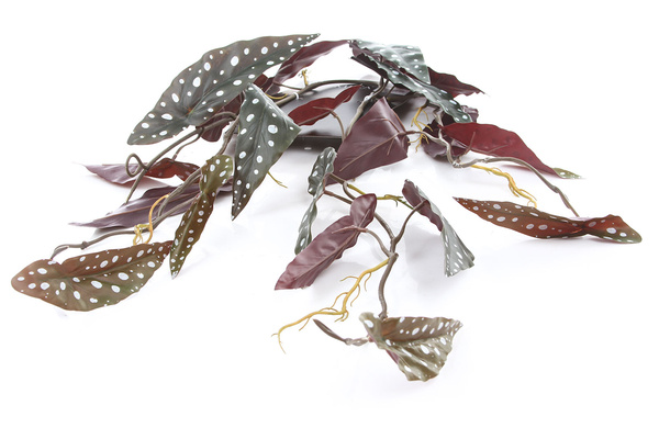 Sztuczna Begonia maculata wisząca pnącze 115 cm