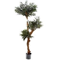 Sztuczny Bonsai Shirakashi 160 cm deluxe