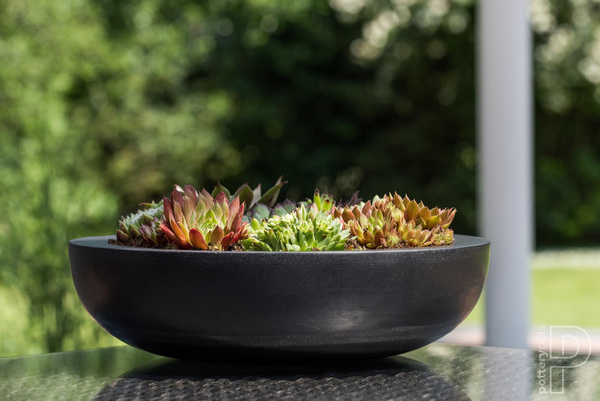 Monique M 34,5/10 czarna niska misa