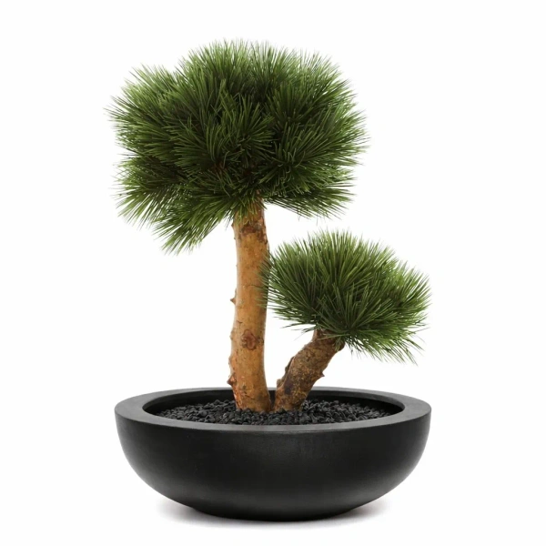 Sztuczny Bonsai Pinia 55 cm UV grube drewniane pnie