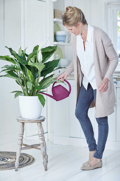 Elho Aquarius 1,5l konewka ozdobna zielona wiosenna lime green