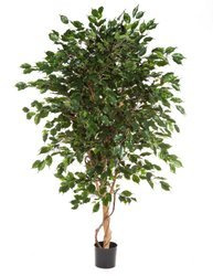 Sztuczne drzewko Fikus Exotica De Luxe 150 cm bardzo gęsty 1705 liści