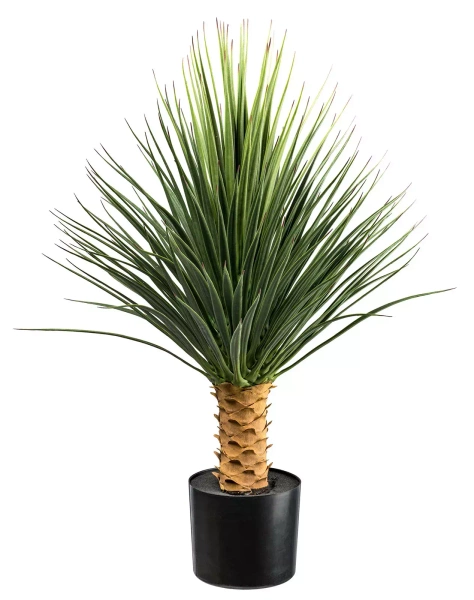 Sztuczna Juka Yucca rostrata 85 cm